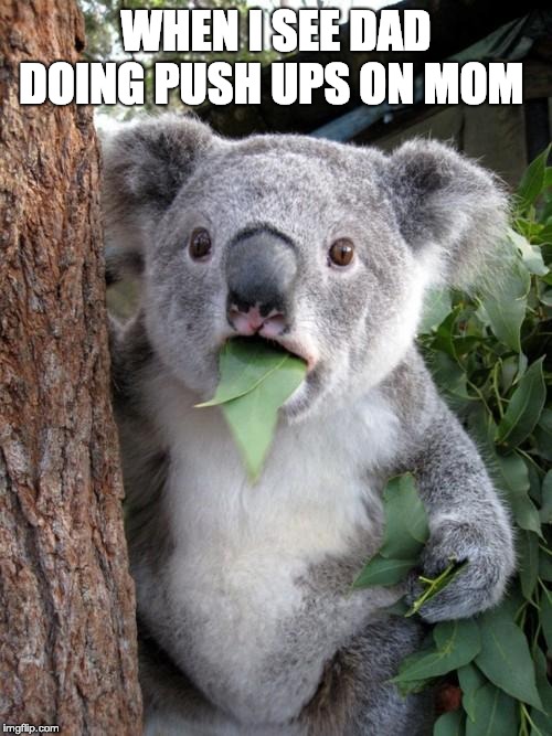 Surprised Koala | WHEN I SEE DAD DOING PUSH UPS ON MOM | image tagged in memes,surprised koala | made w/ Imgflip meme maker