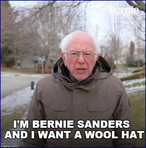 Not political: | AND I WANT A WOOL HAT; I'M BERNIE SANDERS | image tagged in funny | made w/ Imgflip meme maker