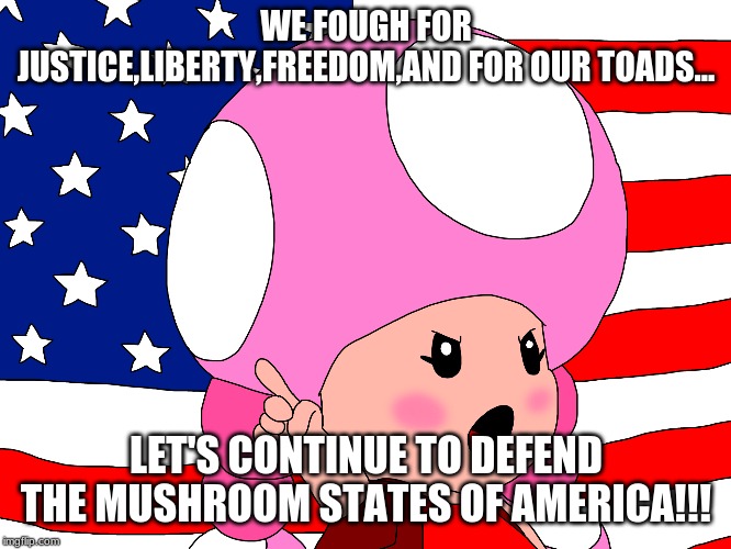 Toadette for independence and peace meme | WE FOUGH FOR JUSTICE,LIBERTY,FREEDOM,AND FOR OUR TOADS... LET'S CONTINUE TO DEFEND THE MUSHROOM STATES OF AMERICA!!! | image tagged in super mario bros,toadette,american flag | made w/ Imgflip meme maker