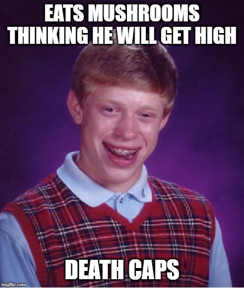 Not All Get You High | EATS MUSHROOMS THINKING HE WILL GET HIGH; DEATH CAPS | image tagged in memes,bad luck brian | made w/ Imgflip meme maker