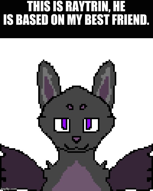 THIS IS RAYTRIN, HE IS BASED ON MY BEST FRIEND. | made w/ Imgflip meme maker