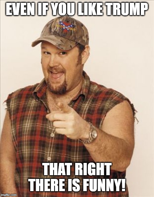 Larry The Cable Guy | EVEN IF YOU LIKE TRUMP THAT RIGHT THERE IS FUNNY! | image tagged in larry the cable guy | made w/ Imgflip meme maker