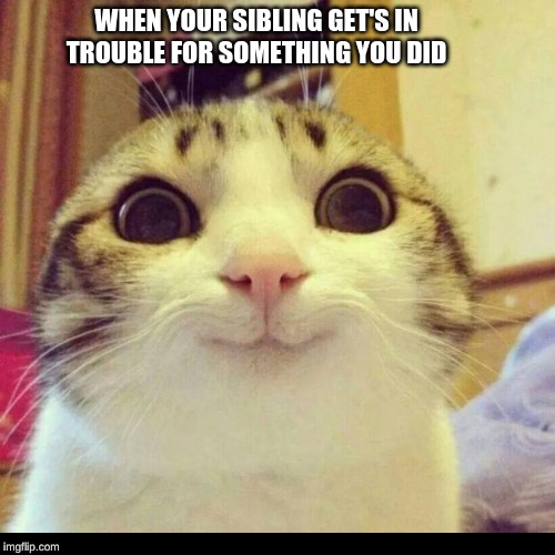 WHEN YOUR SIBLING GET'S IN TROUBLE FOR SOMETHING YOU DID | image tagged in funny | made w/ Imgflip meme maker