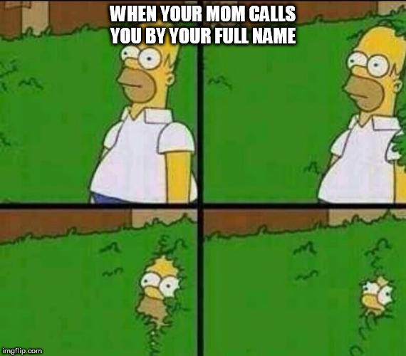 that can't be good | WHEN YOUR MOM CALLS YOU BY YOUR FULL NAME | image tagged in homer simpson in bush - large,memes,funny,mom,that awkward moment,trouble | made w/ Imgflip meme maker