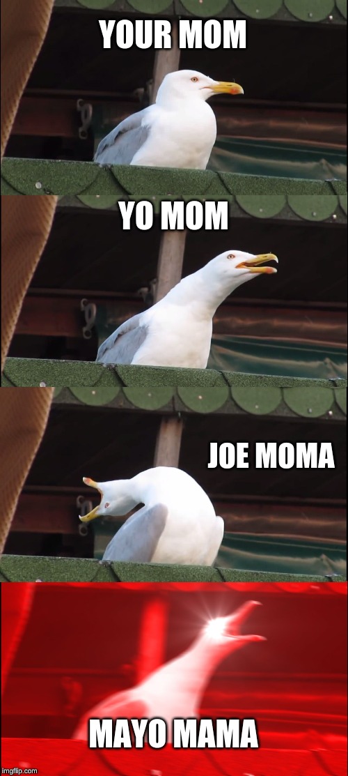 The evolution | YOUR MOM; YO MOM; JOE MOMA; MAYO MAMA | image tagged in memes,inhaling seagull | made w/ Imgflip meme maker