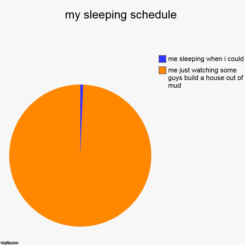 my sleeping schedule | me just watching some guys build a house out of mud, me sleeping when i could | image tagged in charts,pie charts | made w/ Imgflip chart maker
