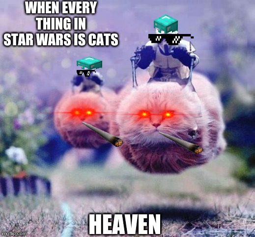 Storm Trooper Cats | WHEN EVERY THING IN STAR WARS IS CATS; HEAVEN | image tagged in storm trooper cats | made w/ Imgflip meme maker