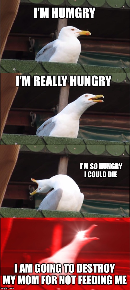 Inhaling Seagull | I’M HUMGRY; I’M REALLY HUNGRY; I’M SO HUNGRY I COULD DIE; I AM GOING TO DESTROY MY MOM FOR NOT FEEDING ME | image tagged in memes,inhaling seagull | made w/ Imgflip meme maker