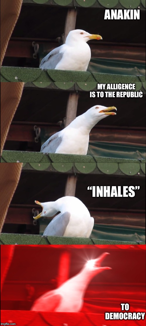 Inhaling Seagull Meme | ANAKIN; MY ALLIGENCE IS TO THE REPUBLIC; “INHALES”; TO DEMOCRACY | image tagged in memes,inhaling seagull | made w/ Imgflip meme maker