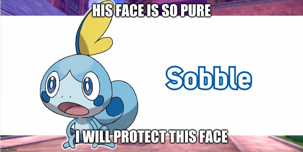 protect sobble cause of face | HIS FACE IS SO PURE; I WILL PROTECT THIS FACE | image tagged in pokemon sword and shield,he protec | made w/ Imgflip meme maker