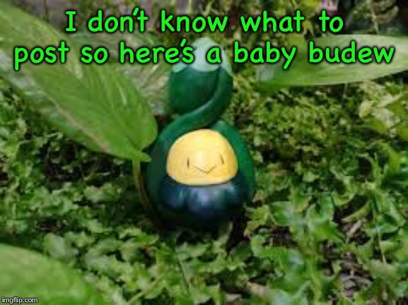 (Aka baby roserade) | I don’t know what to post so here’s a baby budew | made w/ Imgflip meme maker