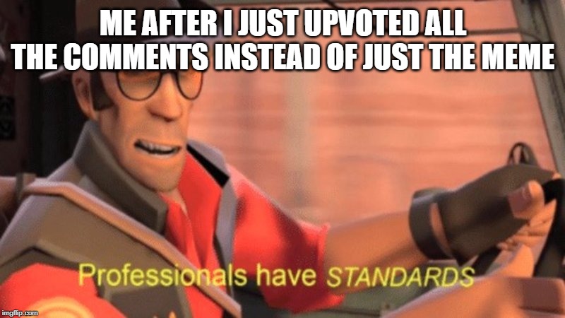 Professionals have STANDARDS | ME AFTER I JUST UPVOTED ALL THE COMMENTS INSTEAD OF JUST THE MEME | image tagged in professionals have standards | made w/ Imgflip meme maker