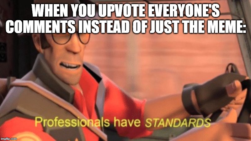 Professionals have STANDARDS | WHEN YOU UPVOTE EVERYONE'S COMMENTS INSTEAD OF JUST THE MEME: | image tagged in professionals have standards | made w/ Imgflip meme maker