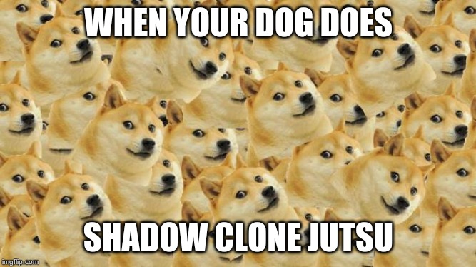 Multi Doge | WHEN YOUR DOG DOES; SHADOW CLONE JUTSU | image tagged in memes,multi doge | made w/ Imgflip meme maker