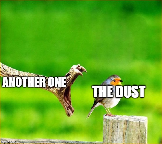 Snake Reality Bites | THE DUST; ANOTHER ONE | image tagged in snake reality bites | made w/ Imgflip meme maker