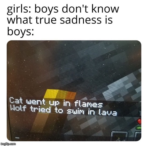 True sadness | image tagged in funny,memes,meme review,funny memes | made w/ Imgflip meme maker