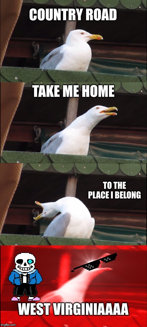 Inhaling Seagull | COUNTRY ROAD; TAKE ME HOME; TO THE PLACE I BELONG; WEST VIRGINIAAAA | image tagged in memes,inhaling seagull | made w/ Imgflip meme maker