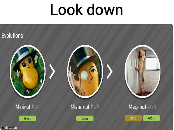 Mininut, Misternut, Meganut | Look down | image tagged in repost | made w/ Imgflip meme maker