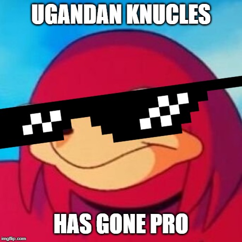 Ugandan Knuckles | UGANDAN KNUCLES; HAS GONE PRO | image tagged in ugandan knuckles | made w/ Imgflip meme maker