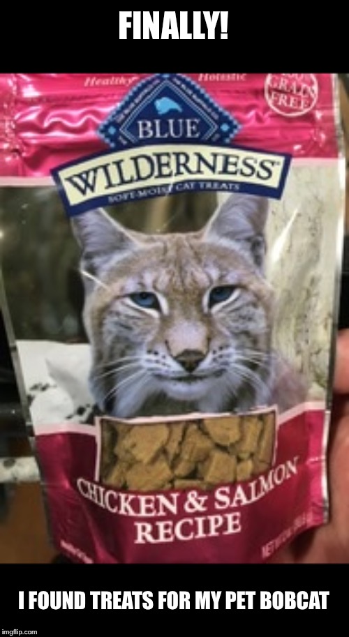Bobcats gotta eat too | FINALLY! I FOUND TREATS FOR MY PET BOBCAT | image tagged in bobcat | made w/ Imgflip meme maker