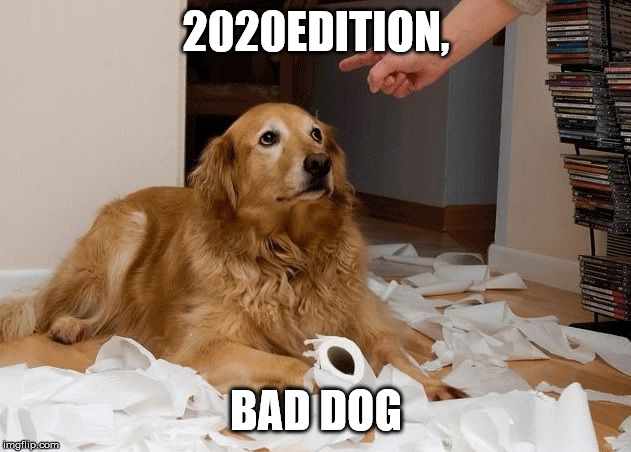Bad [dog] | 2020EDITION, BAD DOG | image tagged in bad dog | made w/ Imgflip meme maker