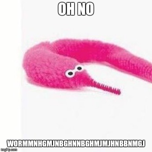 OH NO | OH NO; WORMMNHGMJNBGHNNBGHMJMJHNBBNMGJ | image tagged in worm-on-a-string | made w/ Imgflip meme maker