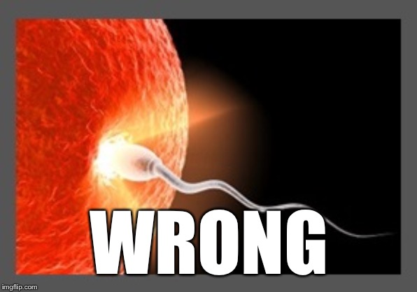 WRONG | made w/ Imgflip meme maker