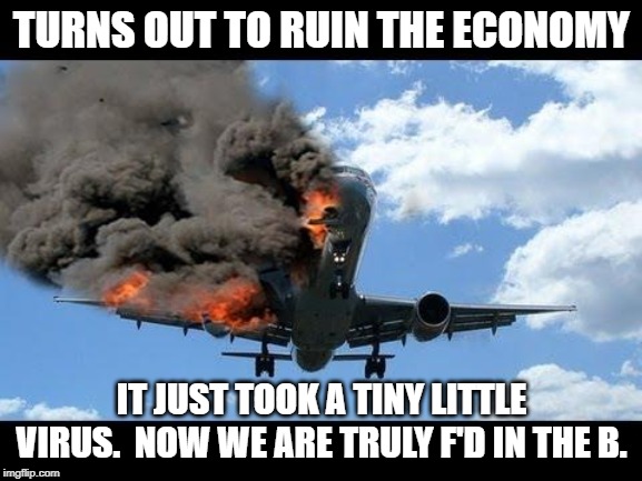 plane crash | TURNS OUT TO RUIN THE ECONOMY; IT JUST TOOK A TINY LITTLE VIRUS.  NOW WE ARE TRULY F'D IN THE B. | image tagged in plane crash | made w/ Imgflip meme maker