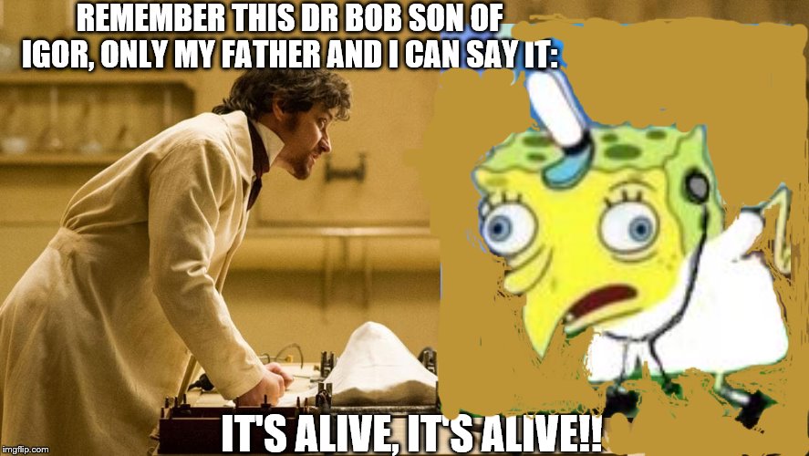 abbynormal | REMEMBER THIS DR BOB SON OF IGOR, ONLY MY FATHER AND I CAN SAY IT:; IT'S ALIVE, IT'S ALIVE!! | image tagged in funny | made w/ Imgflip meme maker