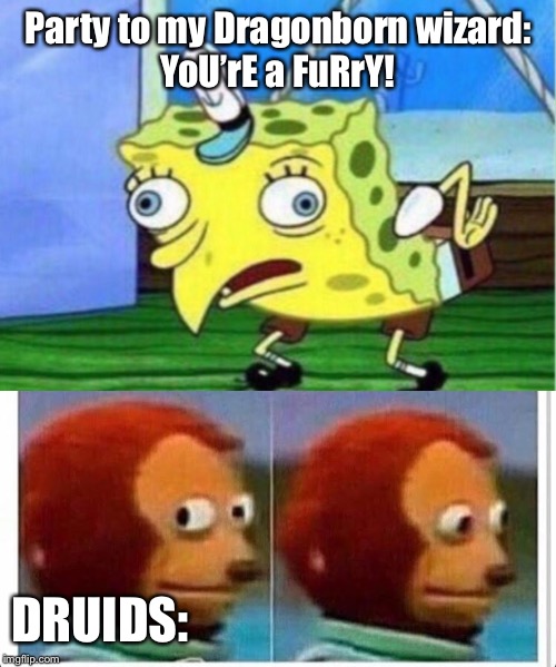 Being Dragonborn in DnD: | Party to my Dragonborn wizard:
YoU’rE a FuRrY! DRUIDS: | image tagged in memes,mocking spongebob,awkward muppet | made w/ Imgflip meme maker