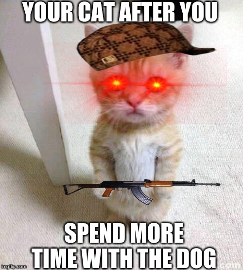 Cute Cat NOT | YOUR CAT AFTER YOU; SPEND MORE TIME WITH THE DOG | image tagged in memes,cute cat,funny,cats,cute,cats with guns | made w/ Imgflip meme maker