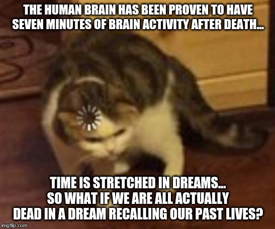 Loading cat | THE HUMAN BRAIN HAS BEEN PROVEN TO HAVE SEVEN MINUTES OF BRAIN ACTIVITY AFTER DEATH... TIME IS STRETCHED IN DREAMS... SO WHAT IF WE ARE ALL ACTUALLY DEAD IN A DREAM RECALLING OUR PAST LIVES? | image tagged in loading cat | made w/ Imgflip meme maker