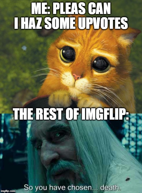 ME: PLEAS CAN I HAZ SOME UPVOTES; THE REST OF IMGFLIP: | image tagged in cat plz,so you have chosen death | made w/ Imgflip meme maker
