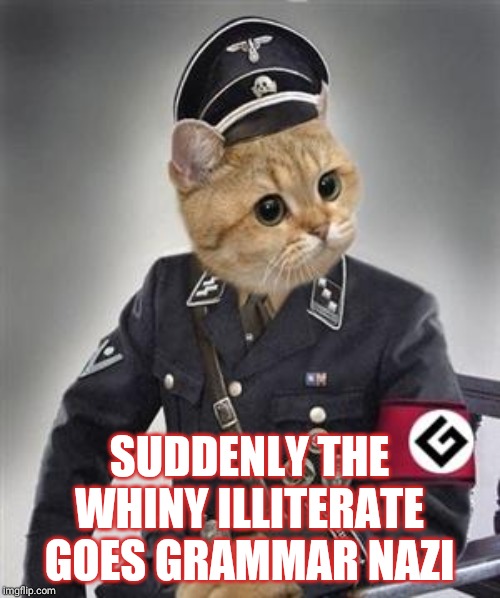Grammar Nazi Cat | SUDDENLY THE WHINY ILLITERATE GOES GRAMMAR NAZI | image tagged in grammar nazi cat | made w/ Imgflip meme maker