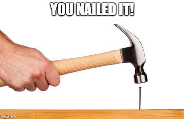 YOU NAILED IT! | made w/ Imgflip meme maker