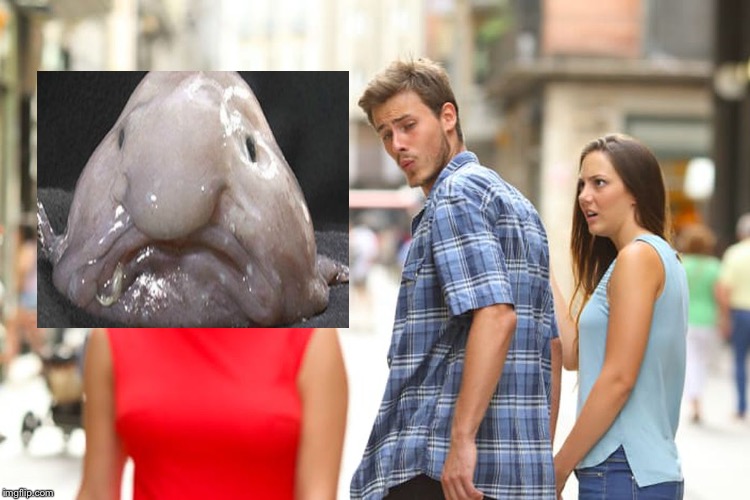 Distracted Boyfriend | image tagged in memes,distracted boyfriend | made w/ Imgflip meme maker