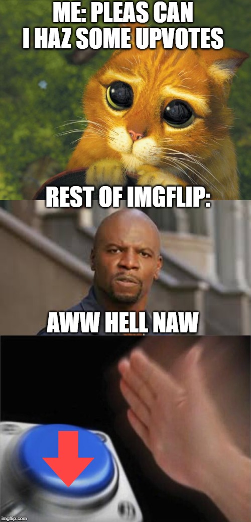 imgflip users when they see upvote beggars | ME: PLEAS CAN I HAZ SOME UPVOTES; REST OF IMGFLIP:; AWW HELL NAW | image tagged in cat plz,aww hell no,memes,blank nut button,fun,funny | made w/ Imgflip meme maker