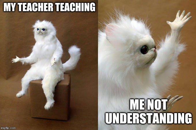 Persian Cat Room Guardian | MY TEACHER TEACHING; ME NOT UNDERSTANDING | image tagged in memes,persian cat room guardian | made w/ Imgflip meme maker