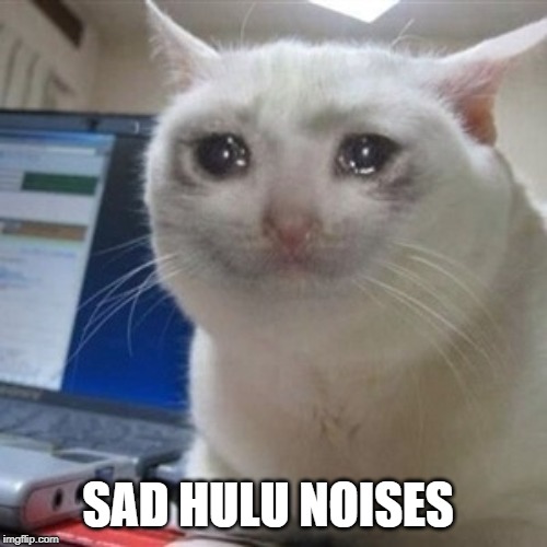 Crying cat | SAD HULU NOISES | image tagged in crying cat | made w/ Imgflip meme maker