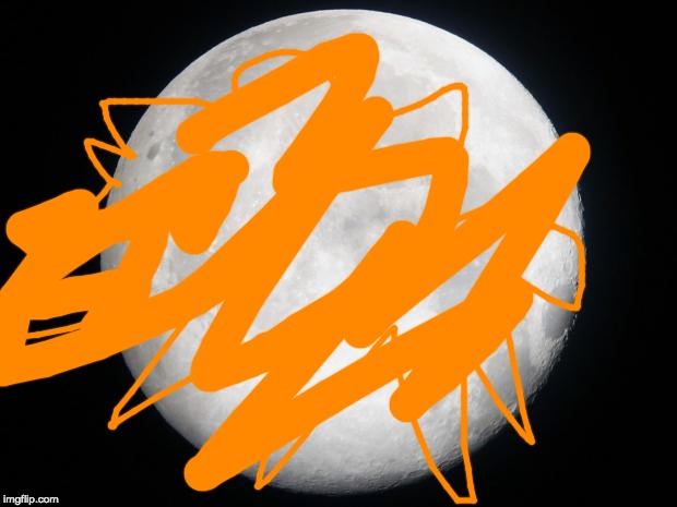 Full Moon | image tagged in full moon | made w/ Imgflip meme maker