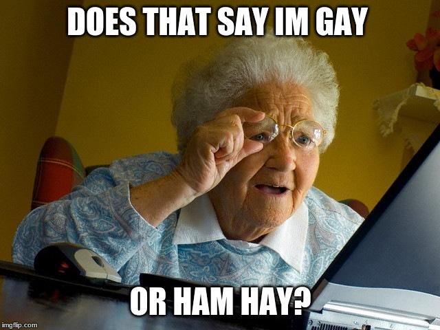 Grandma Finds The Internet | DOES THAT SAY IM GAY; OR HAM HAY? | image tagged in memes,grandma finds the internet | made w/ Imgflip meme maker