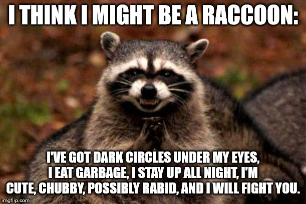 Evil Plotting Raccoon | I THINK I MIGHT BE A RACCOON:; I'VE GOT DARK CIRCLES UNDER MY EYES, I EAT GARBAGE, I STAY UP ALL NIGHT, I'M CUTE, CHUBBY, POSSIBLY RABID, AND I WILL FIGHT YOU. | image tagged in memes,evil plotting raccoon | made w/ Imgflip meme maker