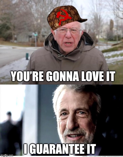 YOU’RE GONNA LOVE IT I GUARANTEE IT | image tagged in memes,i guarantee it,bernie sanders support | made w/ Imgflip meme maker