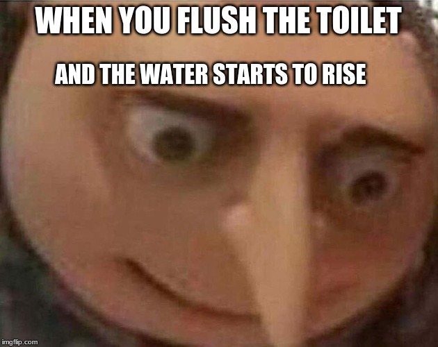 gru meme | WHEN YOU FLUSH THE TOILET; AND THE WATER STARTS TO RISE | image tagged in gru meme | made w/ Imgflip meme maker