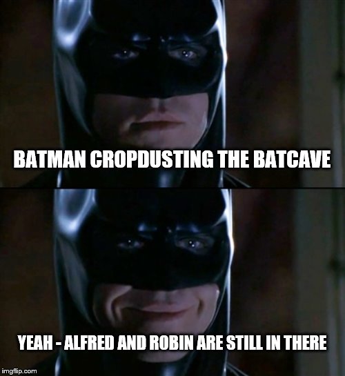 Batman Smiles | BATMAN CROPDUSTING THE BATCAVE; YEAH - ALFRED AND ROBIN ARE STILL IN THERE | image tagged in memes,batman smiles | made w/ Imgflip meme maker