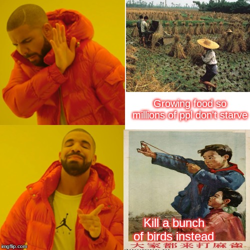 Drake Hotline Bling Meme | Growing food so millions of ppl don't starve; Kill a bunch of birds instead | image tagged in memes,drake hotline bling | made w/ Imgflip meme maker