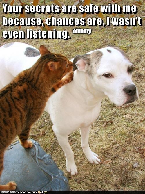 Secrets | chianty | image tagged in not listening | made w/ Imgflip meme maker