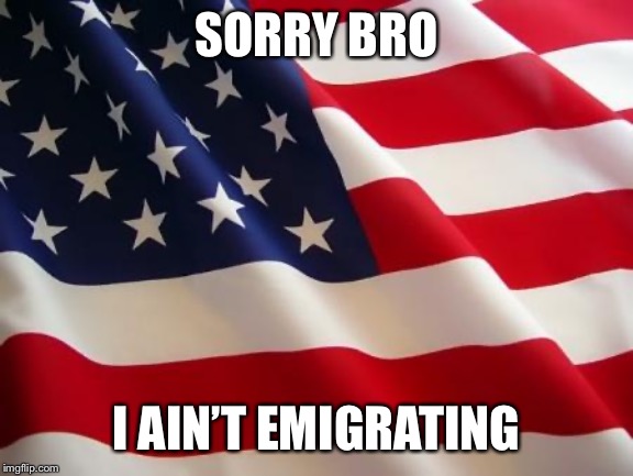 When they suggest that you should just leave the country based on a political disagreement. No, I don’t think I will. | SORRY BRO; I AIN’T EMIGRATING | image tagged in american flag,patriotism,gun control,gun laws,leave,america | made w/ Imgflip meme maker