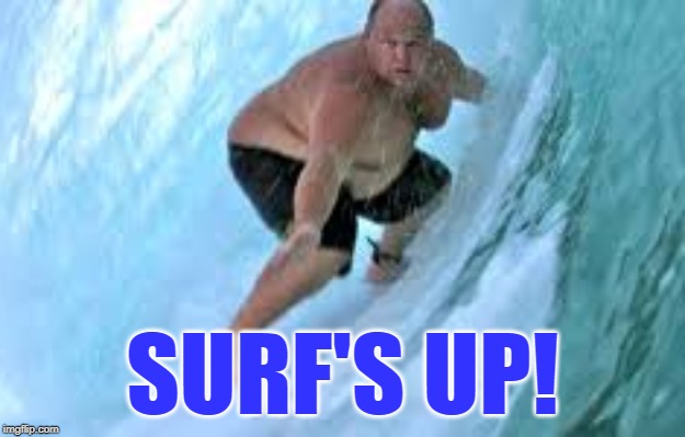 Surf's Up | SURF'S UP! | image tagged in surf's up,surfin',surfing,big waves,lake michigan surf club of waukegan | made w/ Imgflip meme maker
