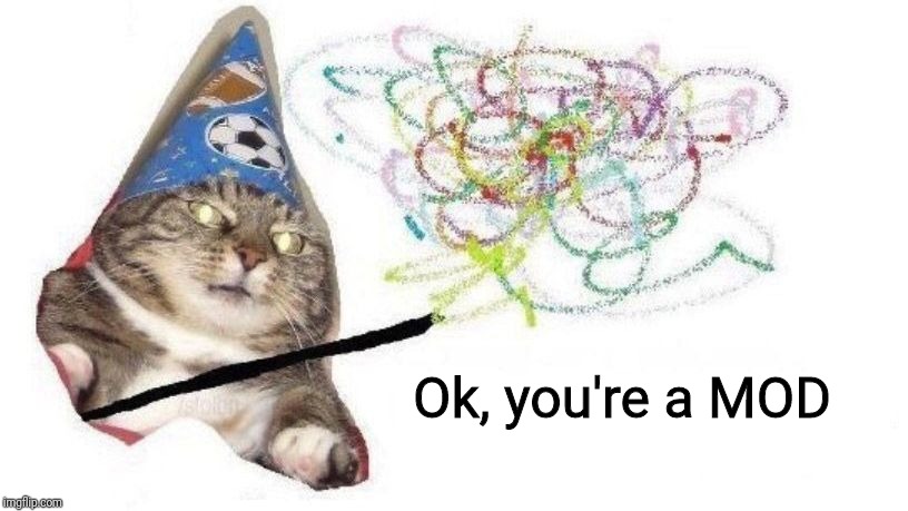 cat wizard | Ok, you're a MOD | image tagged in cat wizard | made w/ Imgflip meme maker
